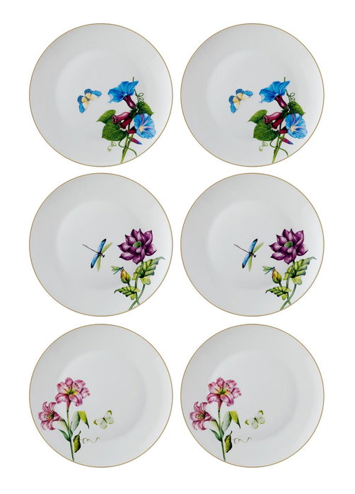 Hermia Juego de Platos de Servicio DNR0066, 6 piezas, Multicolor Hermia Juego de Platos de Servicio DNR0066, 6 piezas, Multicolor